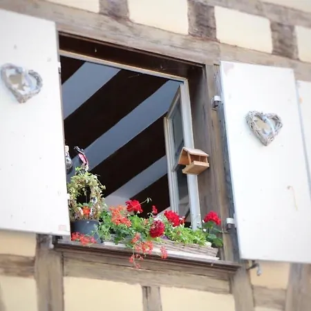 Duplex Elegant Pour 4 Pers Avec Garage Au Centre De - Fr-1-722-13 アパート *