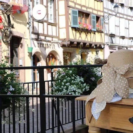 公寓 Duplex Elegant Pour 4 Pers Avec Garage Au Centre De - Fr-1-722-13