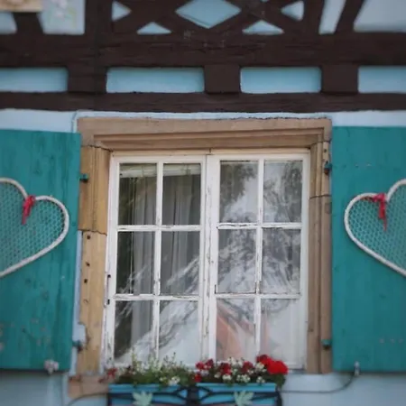 Duplex Elegant Pour 4 Pers Avec Garage Au Centre De - Fr-1-722-13 公寓 *