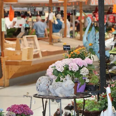 Duplex Elegant Pour 4 Pers Avec Garage Au Centre De - Fr-1-722-13 *