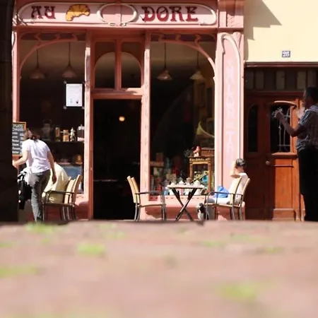 公寓 Duplex Elegant Pour 4 Pers Avec Garage Au Centre De - Fr-1-722-13