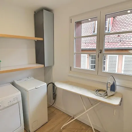 아파트 Duplex Elegant Pour 4 Pers Avec Garage Au Centre De - Fr-1-722-13 콜마
