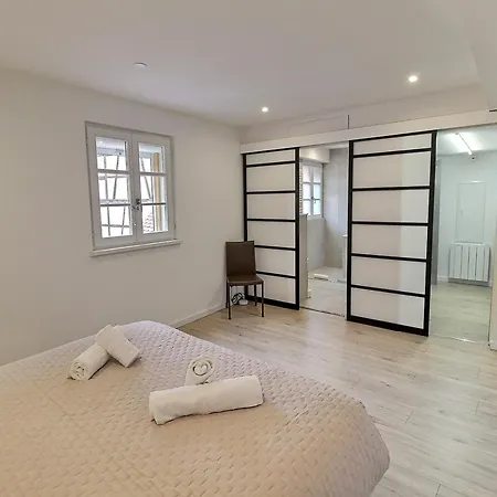 아파트 Duplex Elegant Pour 4 Pers Avec Garage Au Centre De - Fr-1-722-13