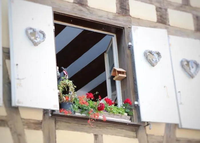 Duplex Elegant Pour 4 Pers Avec Garage Au Centre De - Fr-1-722-13 公寓 *