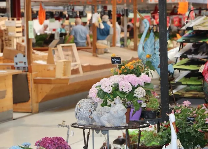 Duplex Elegant Pour 4 Pers Avec Garage Au Centre De - Fr-1-722-13 *