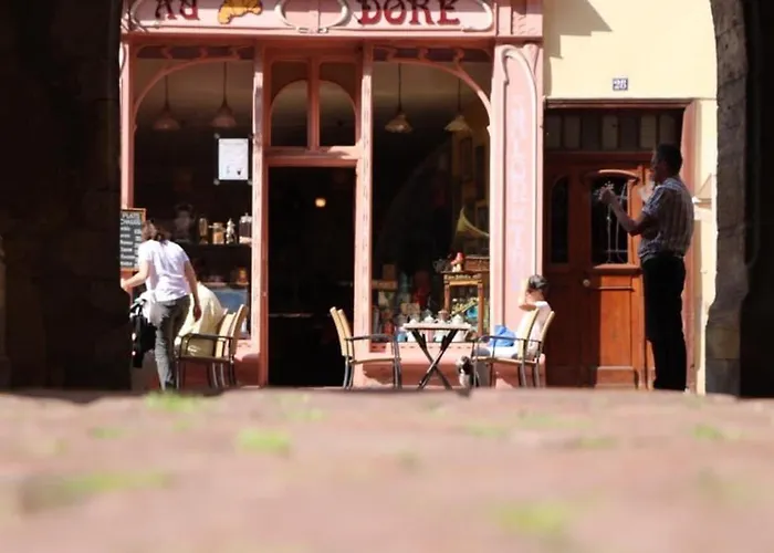 公寓 Duplex Elegant Pour 4 Pers Avec Garage Au Centre De - Fr-1-722-13