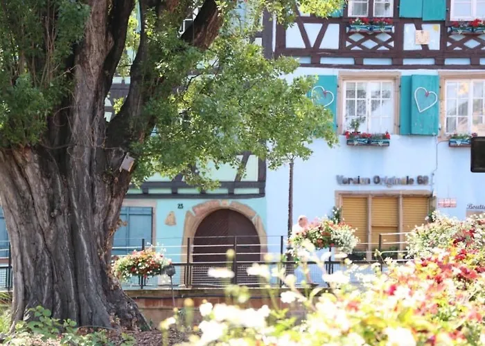 公寓 Duplex Elegant Pour 4 Pers Avec Garage Au Centre De - Fr-1-722-13 科尔马