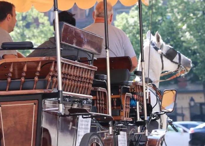 Duplex Elegant Pour 4 Pers Avec Garage Au Centre De - Fr-1-722-13 科尔马