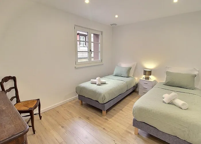 Duplex Elegant Pour 4 Pers Avec Garage Au Centre De - Fr-1-722-13 公寓