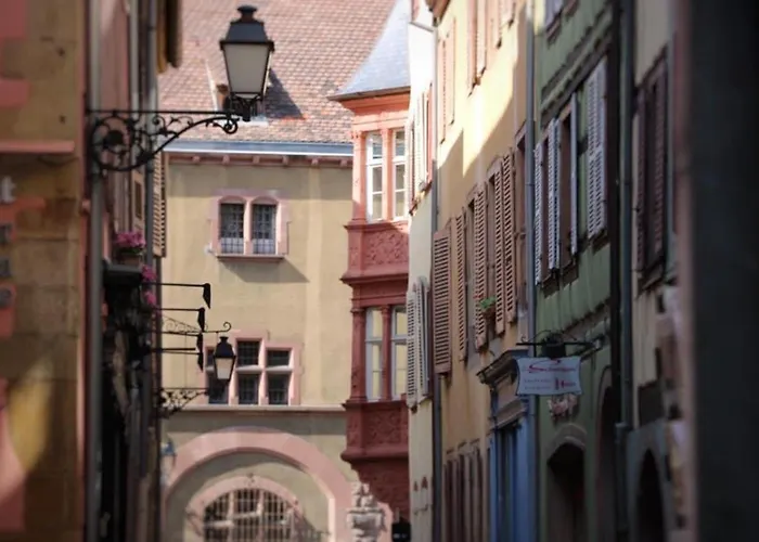 公寓 Duplex Elegant Pour 4 Pers Avec Garage Au Centre De - Fr-1-722-13 *