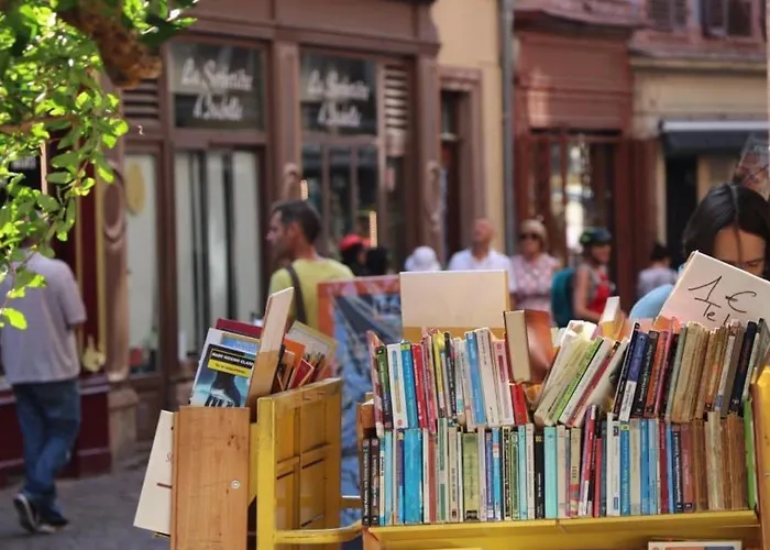 Duplex Elegant Pour 4 Pers Avec Garage Au Centre De - Fr-1-722-13 公寓 科尔马