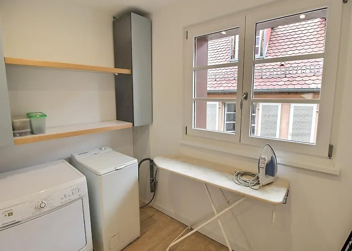 公寓 Duplex Elegant Pour 4 Pers Avec Garage Au Centre De - Fr-1-722-13 科尔马