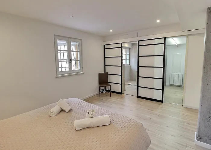 公寓 Duplex Elegant Pour 4 Pers Avec Garage Au Centre De - Fr-1-722-13