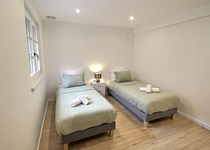 Duplex Elegant Pour 4 Pers Avec Garage Au Centre De - Fr-1-722-13 公寓 *