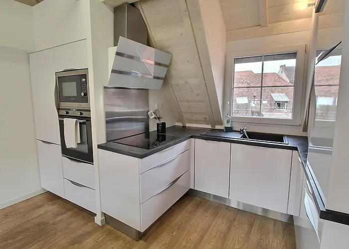 Duplex Elegant Pour 4 Pers Avec Garage Au Centre De - Fr-1-722-13 公寓 科尔马