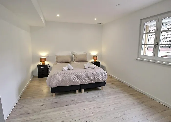 Duplex Elegant Pour 4 Pers Avec Garage Au Centre De - Fr-1-722-13