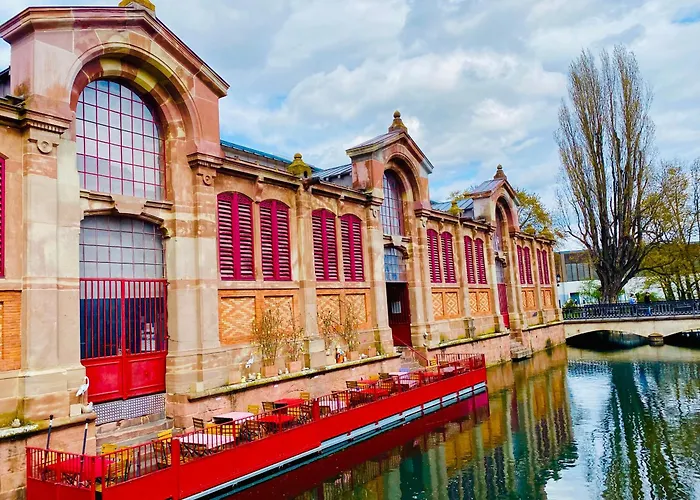 Duplex Elegant Pour 4 Pers Avec Garage Au Centre De - Fr-1-722-13 公寓